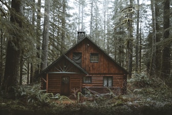 brown wooden house in the woods