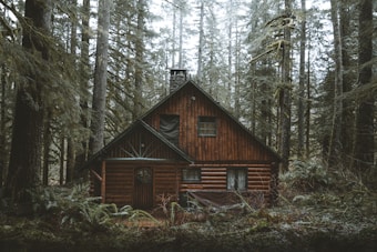 brown wooden house in the woods