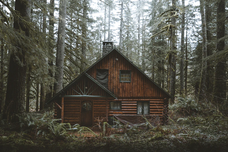Wooden cabins