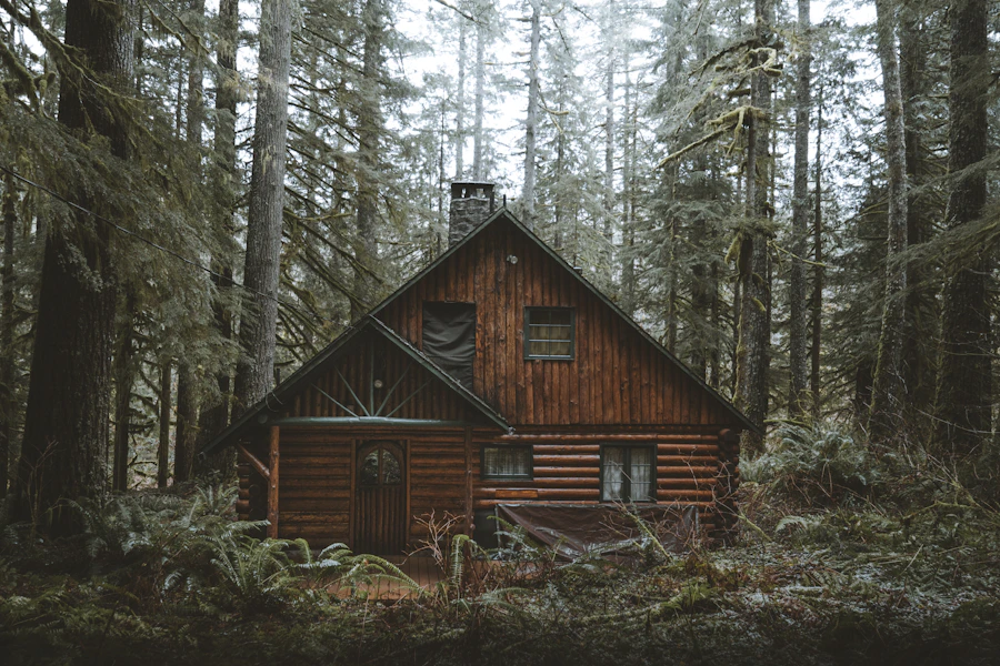 Large family cabin