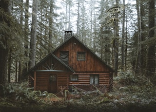 brown wooden house in the woods