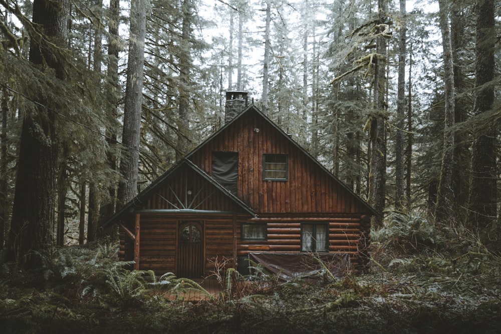 Casa de madera marrón en el bosque