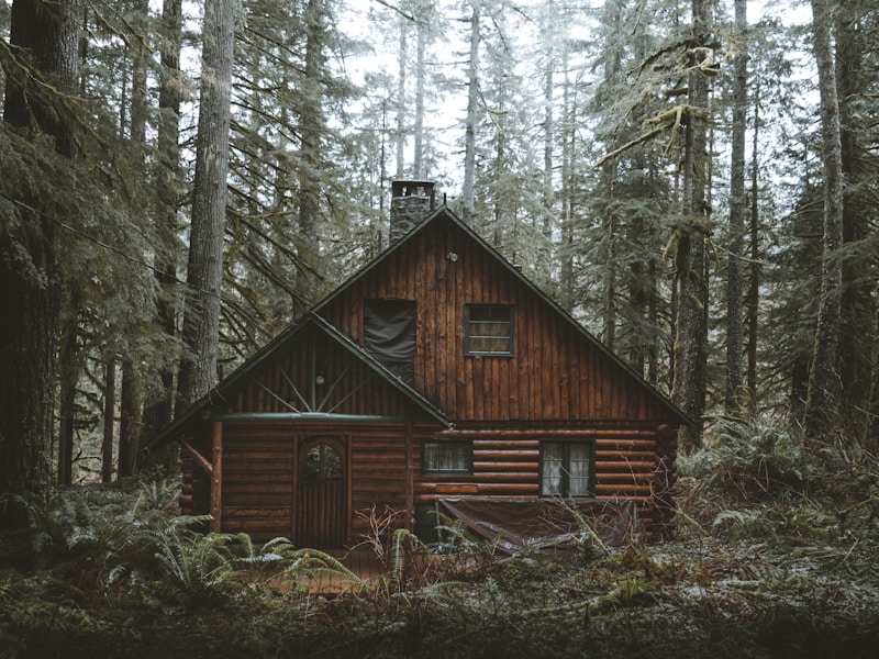 Чемал Eco Lodge