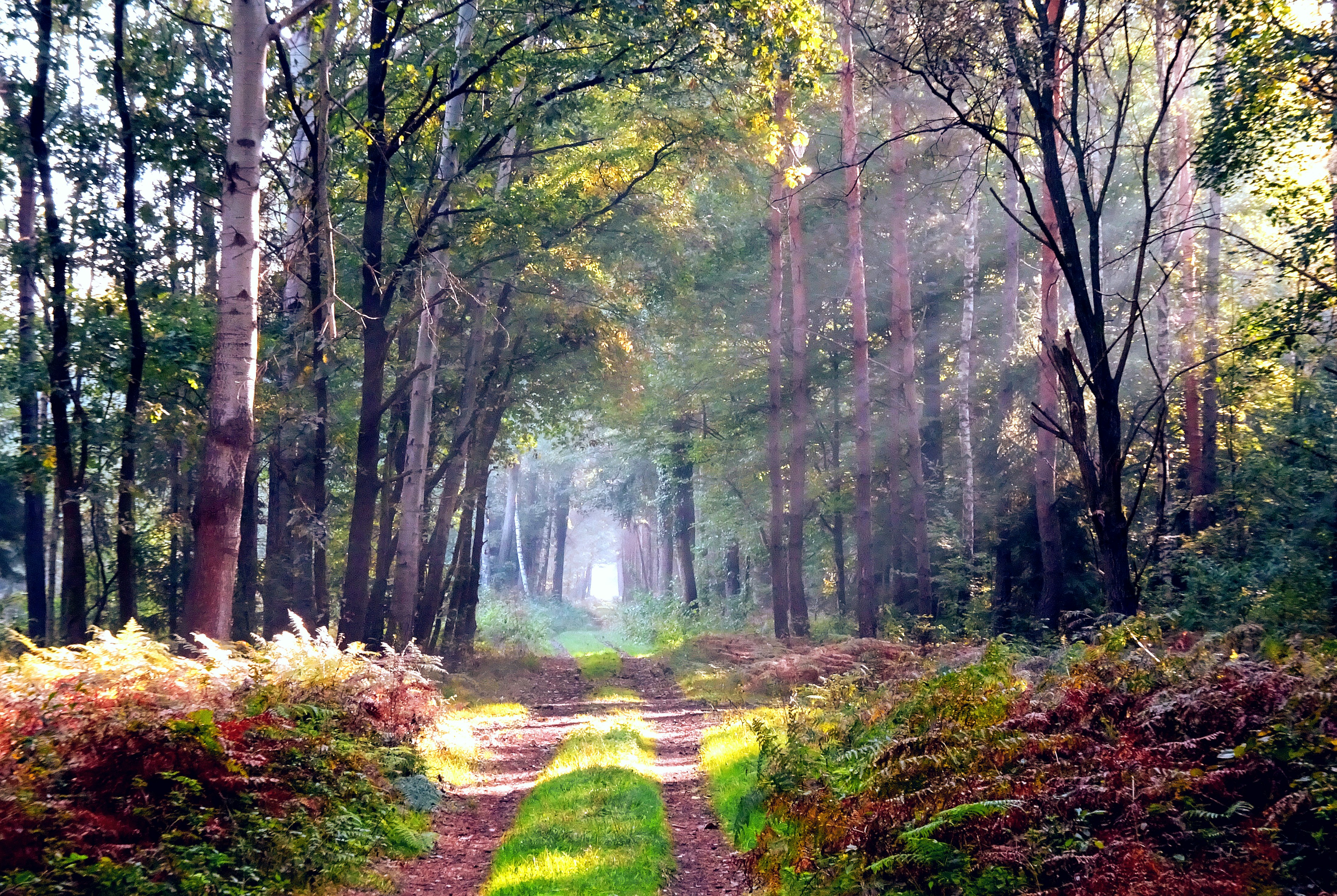 Victorian Style Decanter