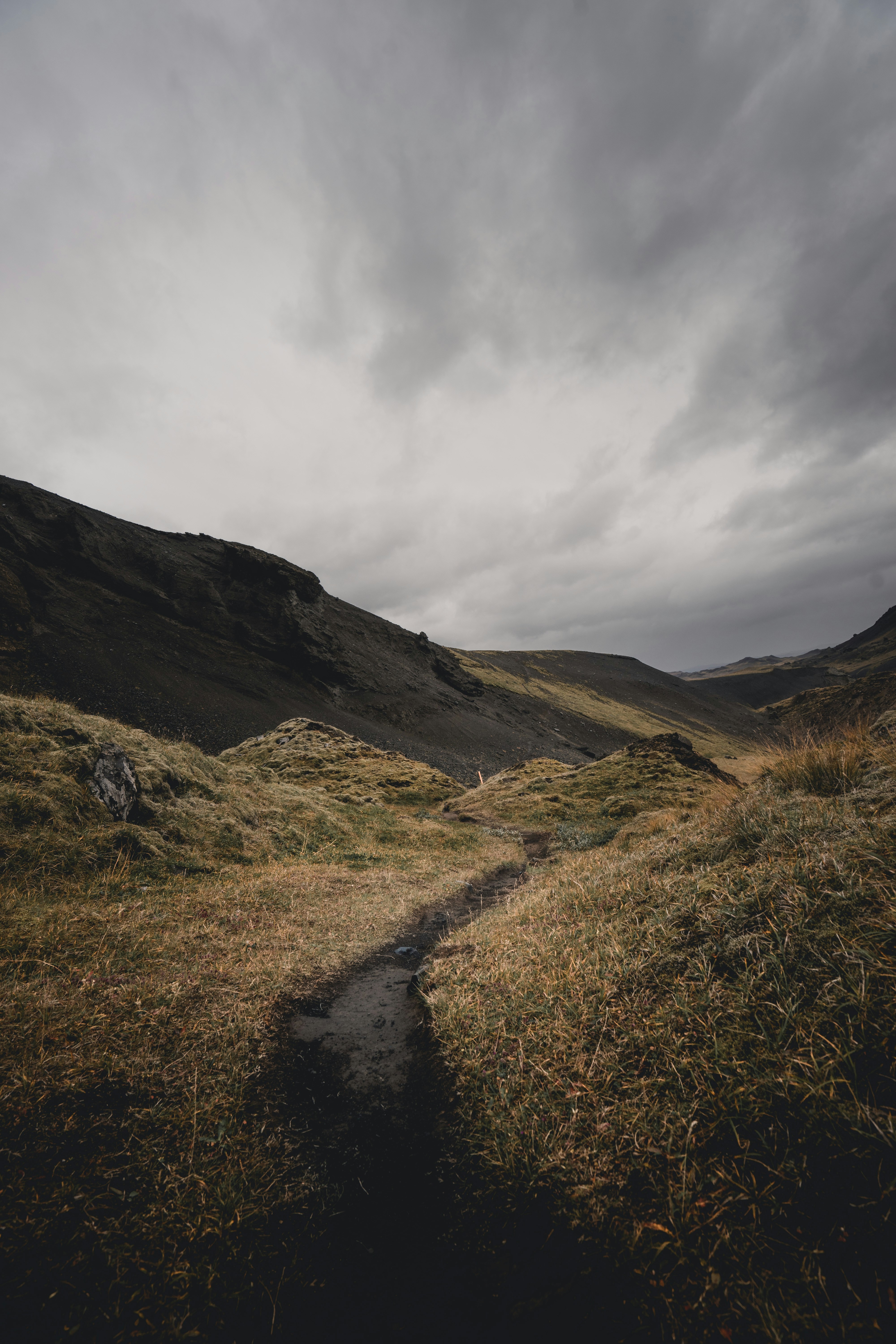 Photo by clement_simn