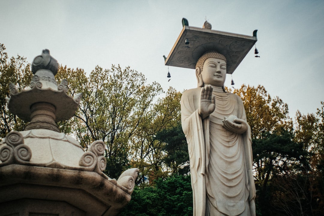 Historic site photo spot Bongeunsa Seoul