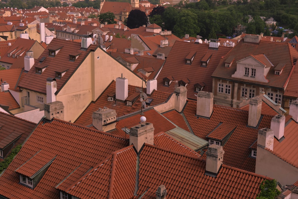 brown and white concrete houses during daytime