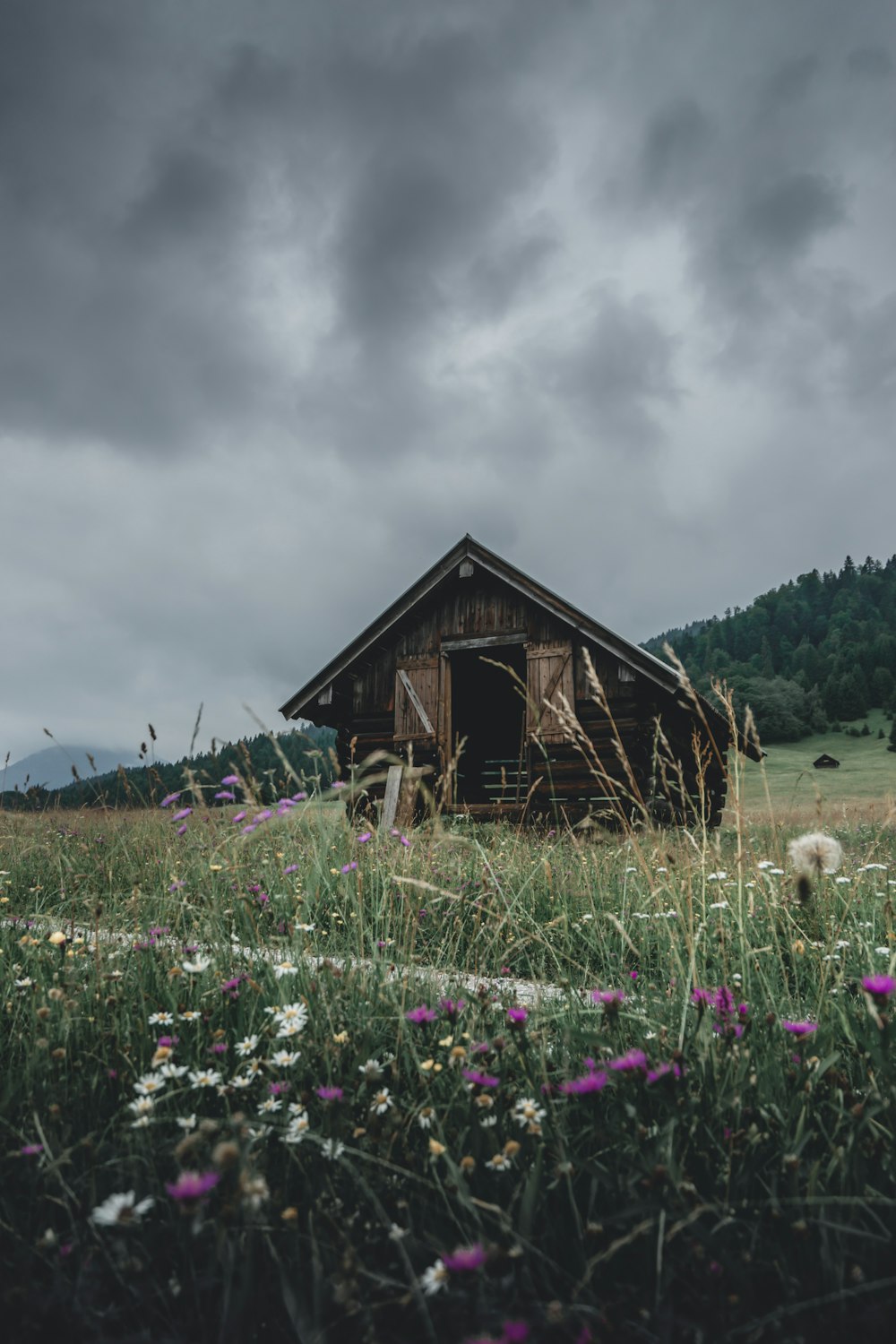 a barn in a field of wildflowers under a cloudy sky
