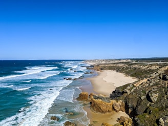 brown sand beach during daytime