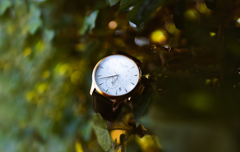 white and silver analog watch