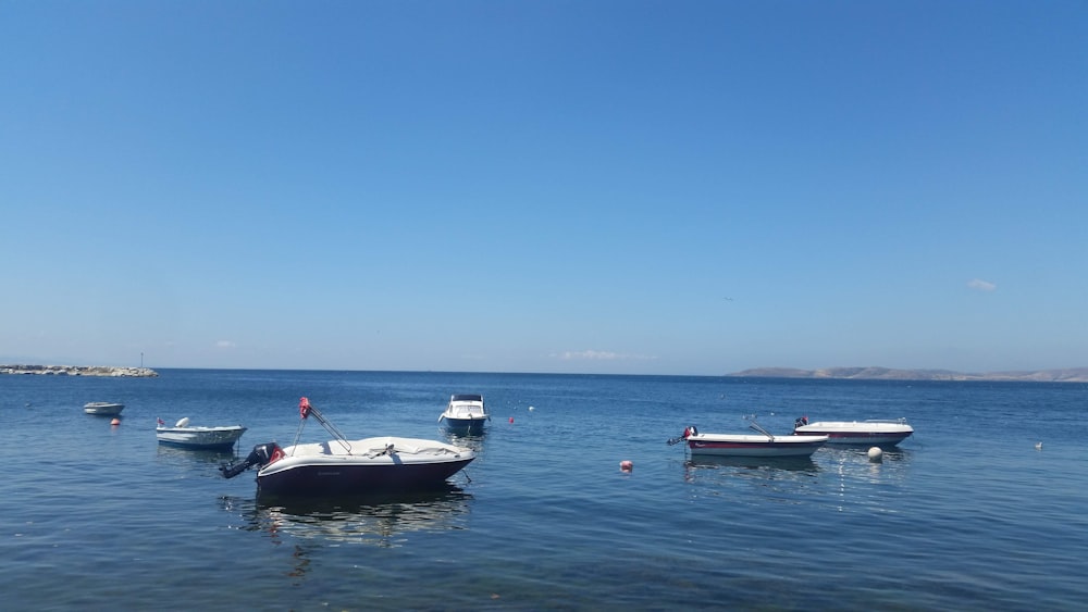 white and red boat on sea during daytime