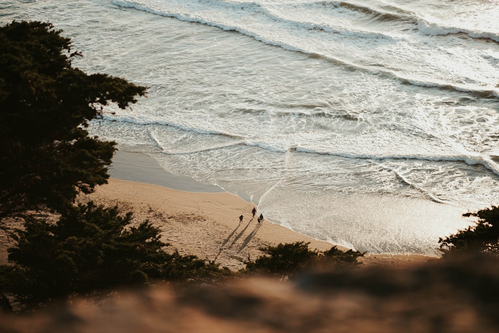 ocean waves crashing on shore during daytime