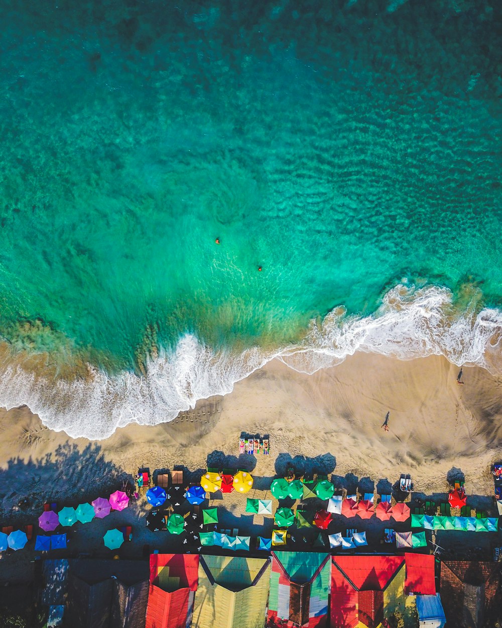 people on beach during daytime