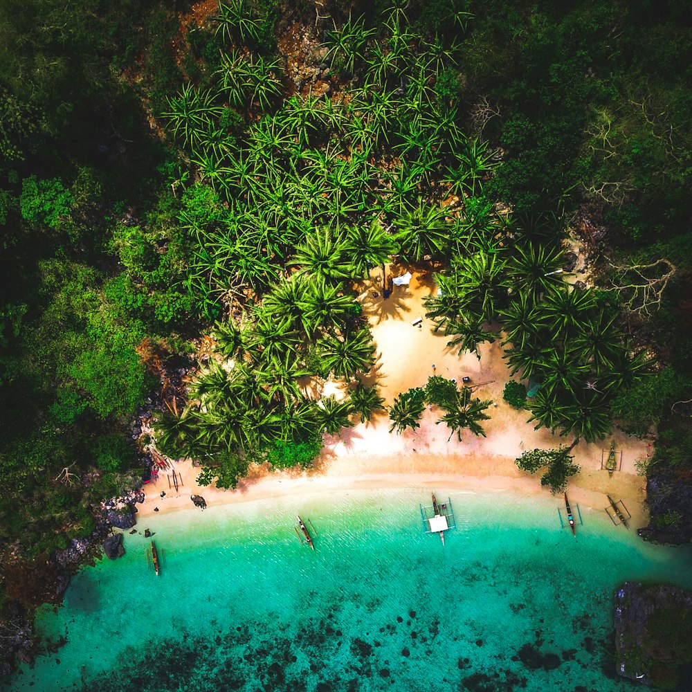 aerial view of people swimming on pool during daytime