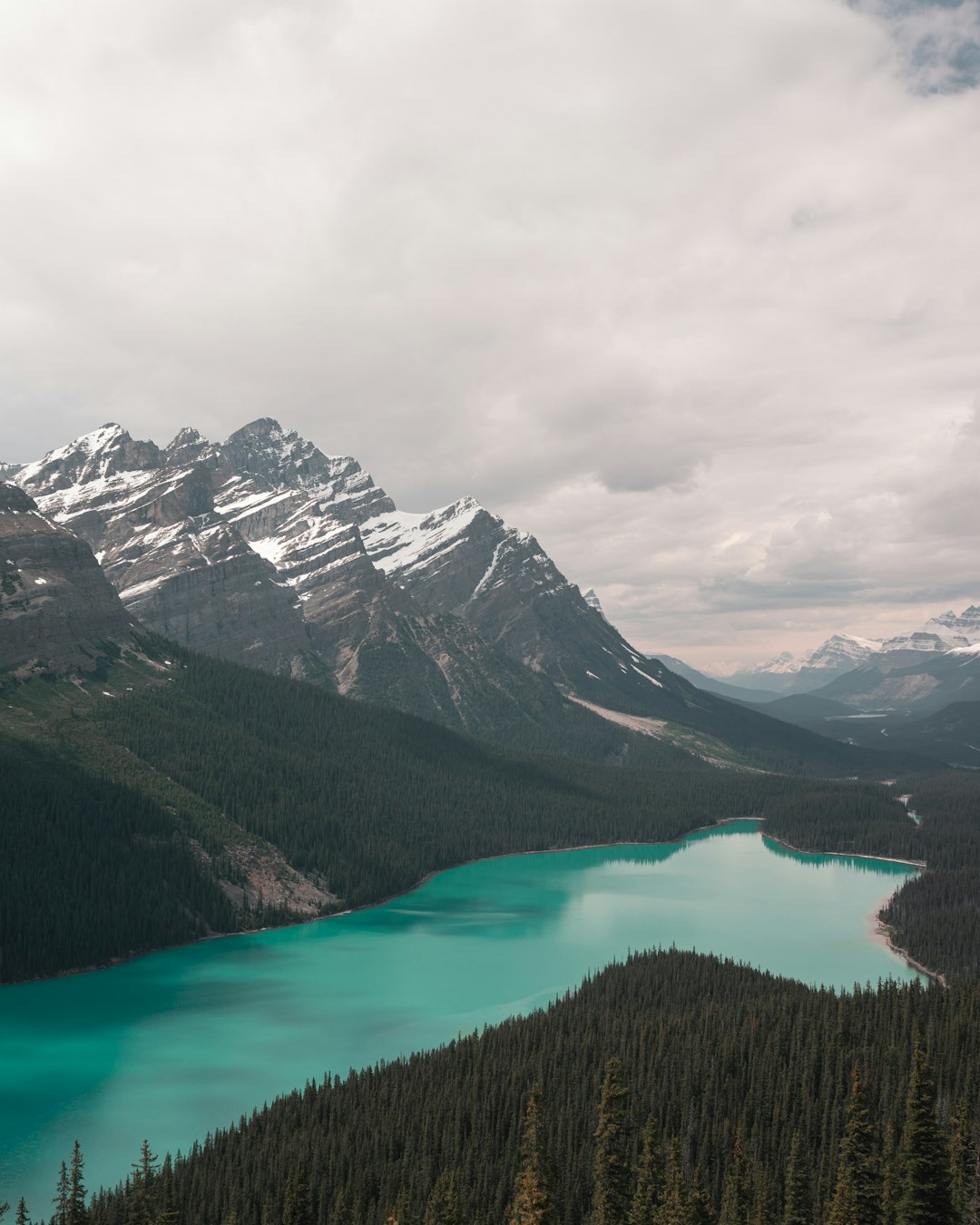 Travel Tips and Stories of Peyto Peak in Canada