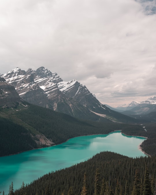 lake in the middle of mountains under white clouds in Peyto Lake Canada