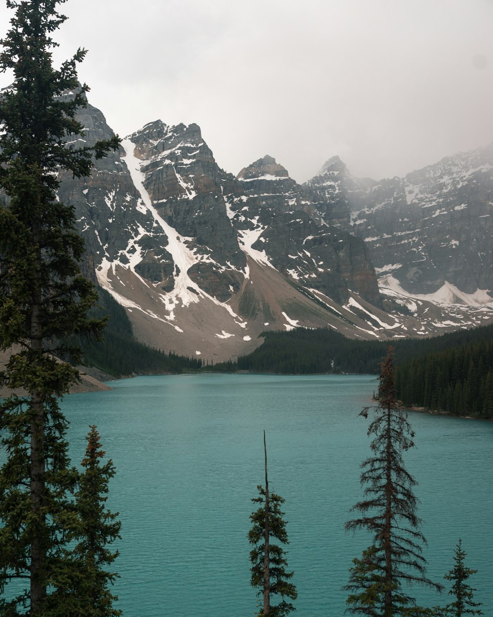 green trees near lake and snow covered mountain during daytime