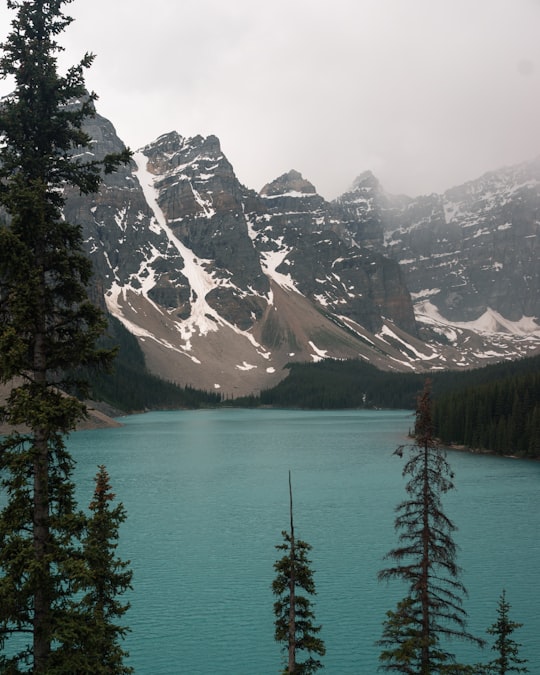 green trees near lake and snow covered mountain during daytime in Moraine Lake Holdings Canada