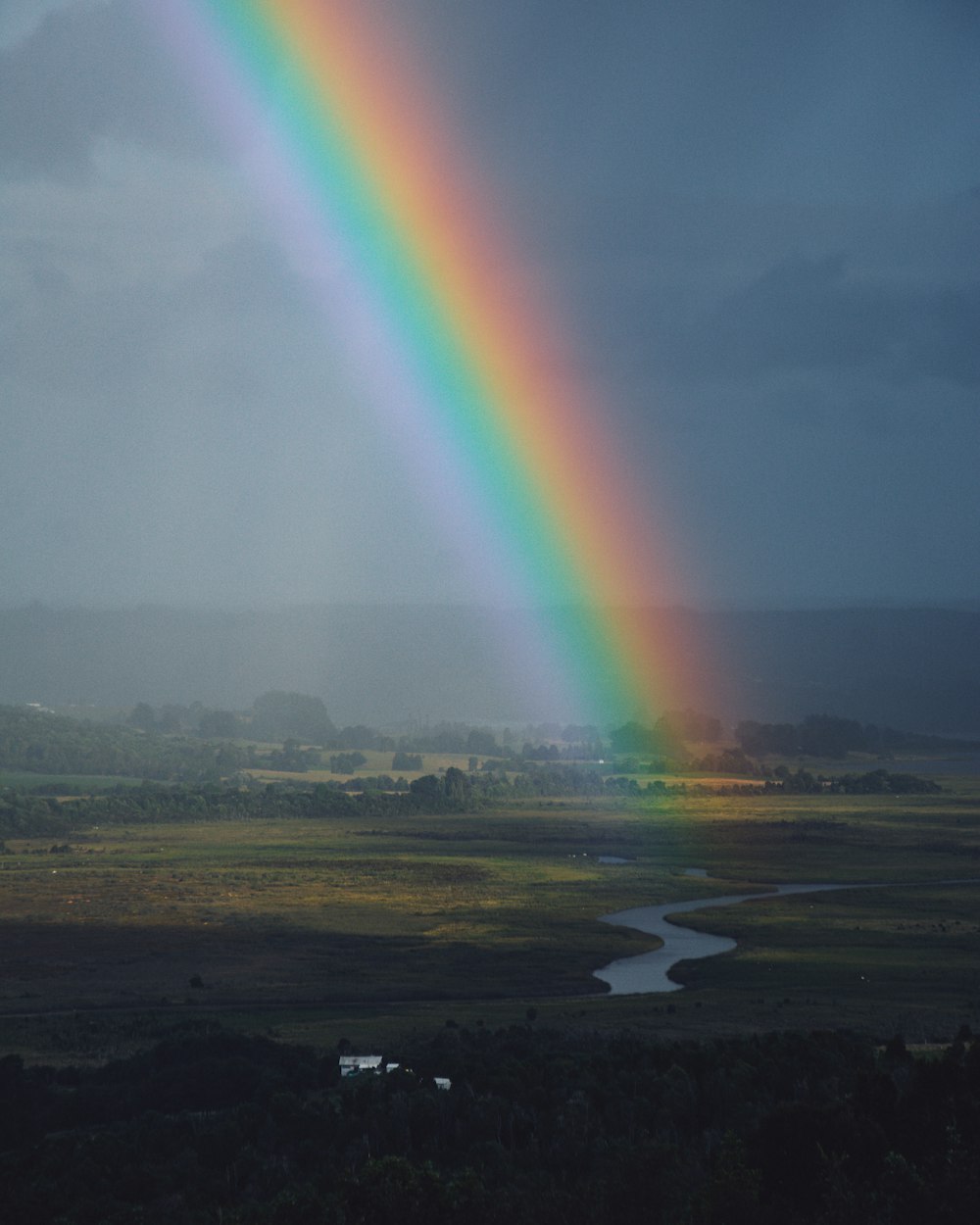 green grass field under rainbow