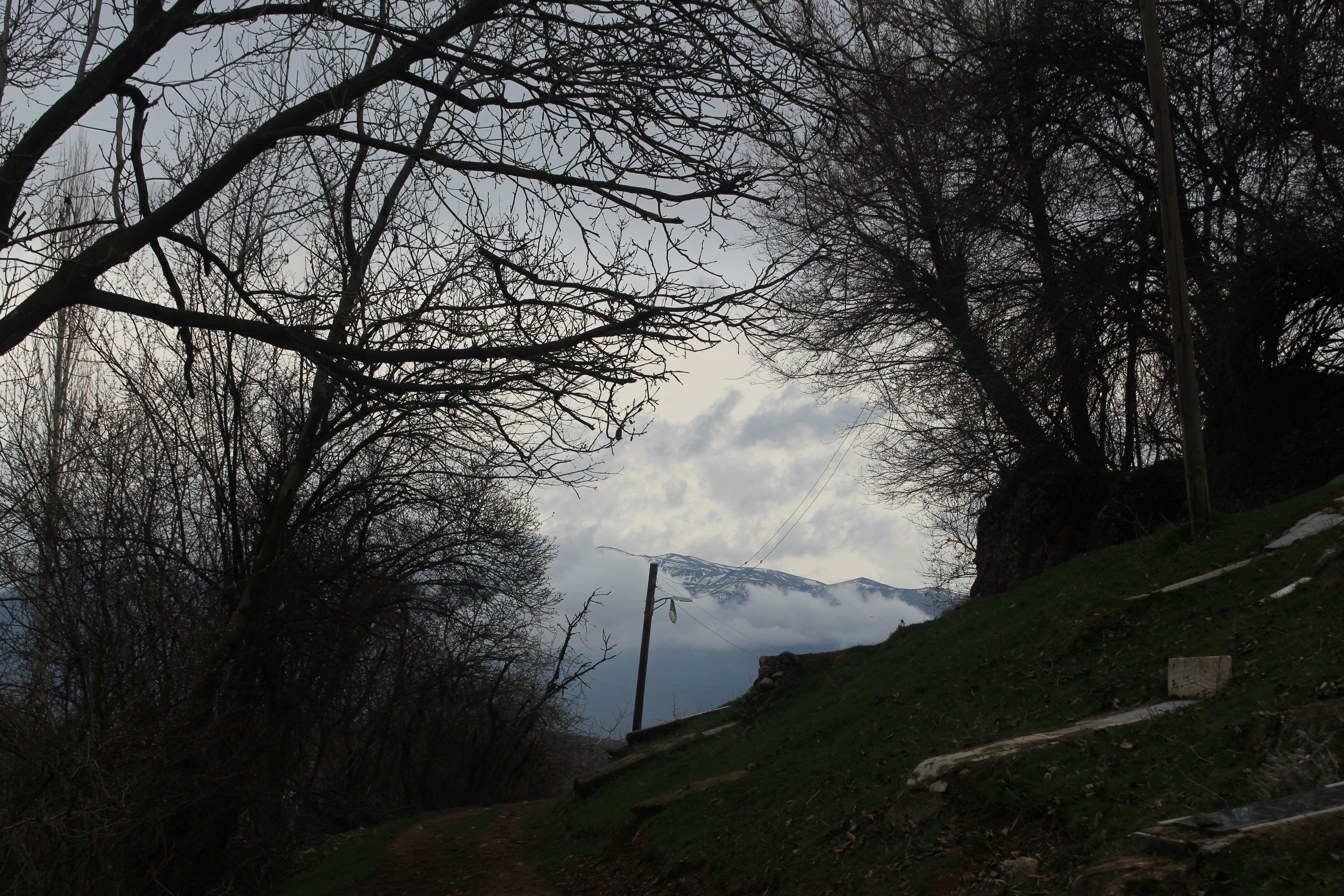 Photo by atefekmk