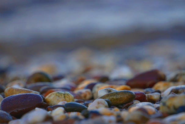 Close-up of smooth, colorful beach pebbles glistening under sunlight.