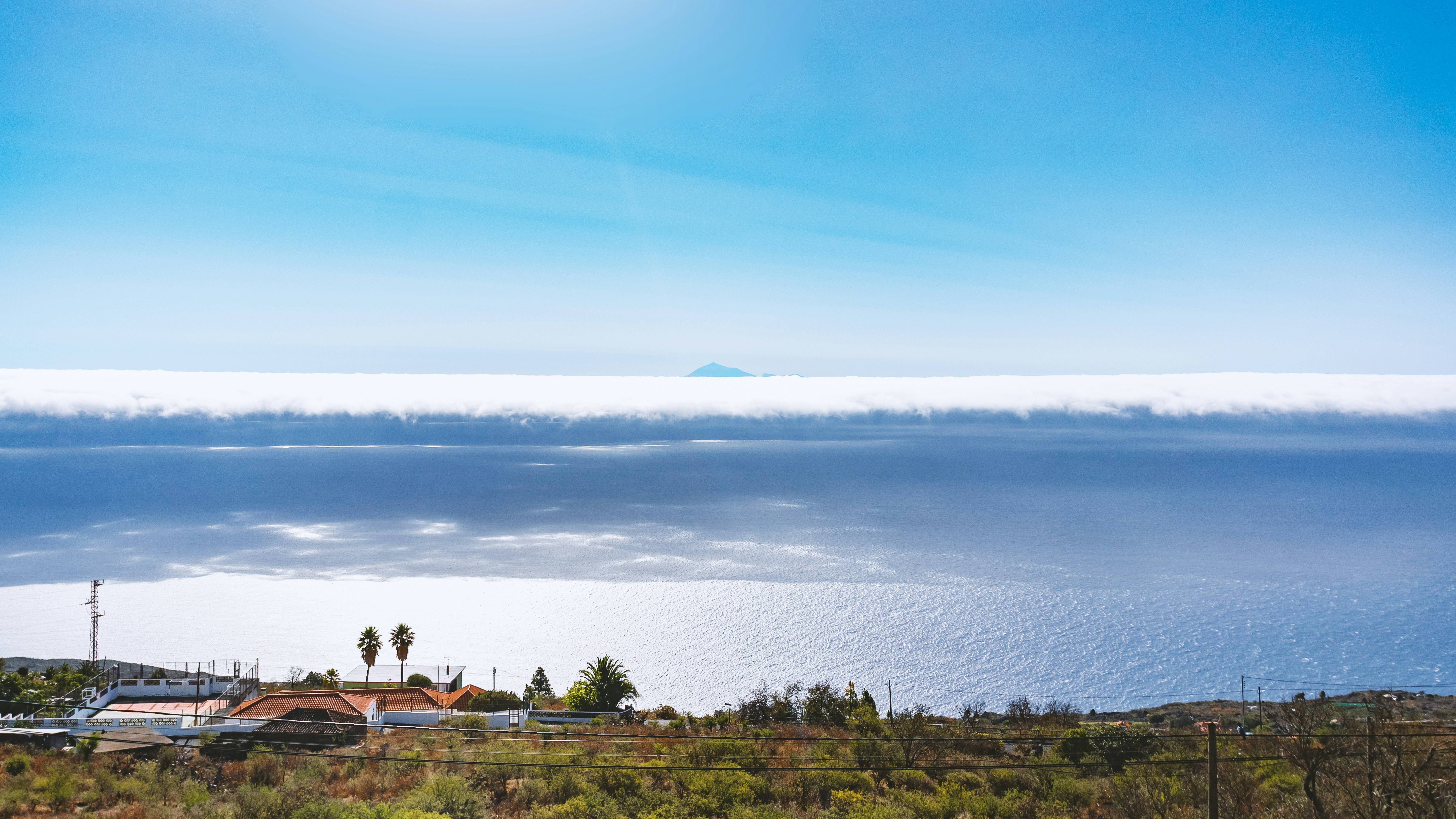 Menschen, die tagsüber auf einem grünen Grasfeld in der Nähe von Gewässern sitzen