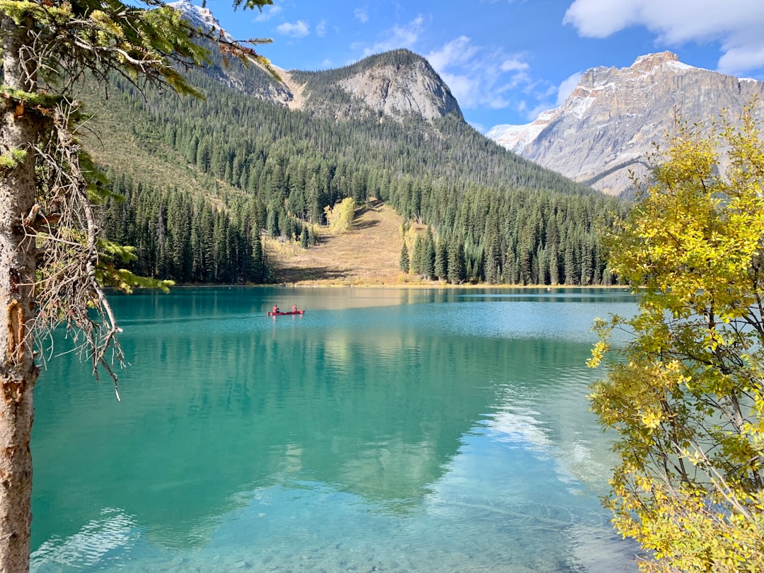 Mountain photo spot Yoho National Park Icefields Parkway