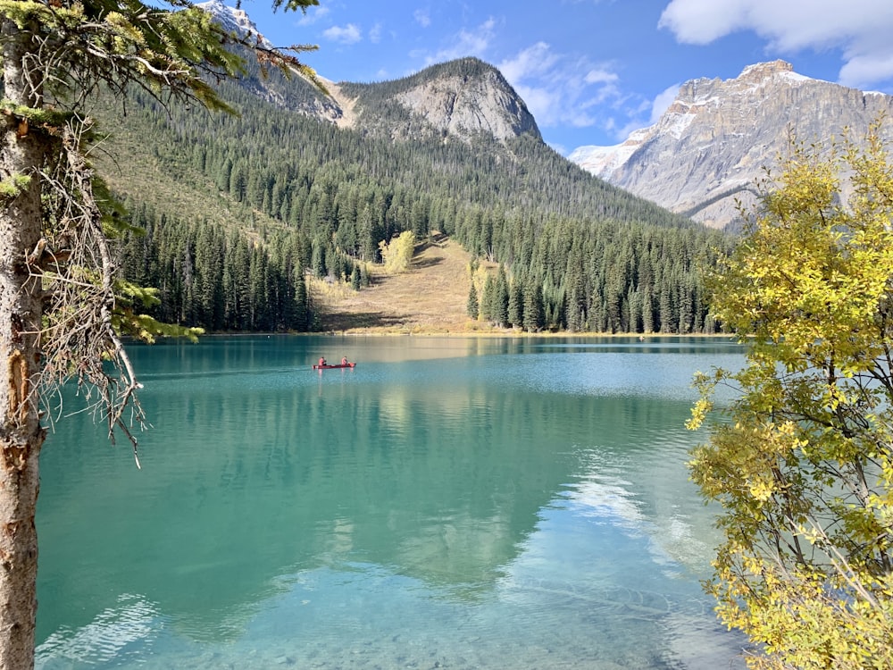 green lake surrounded by green trees and mountains during daytime