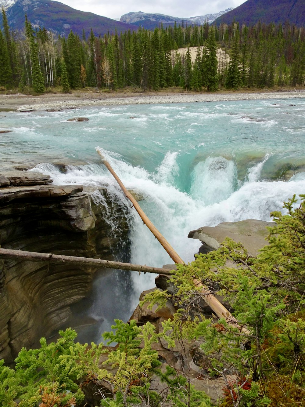 brown wooden stick on river