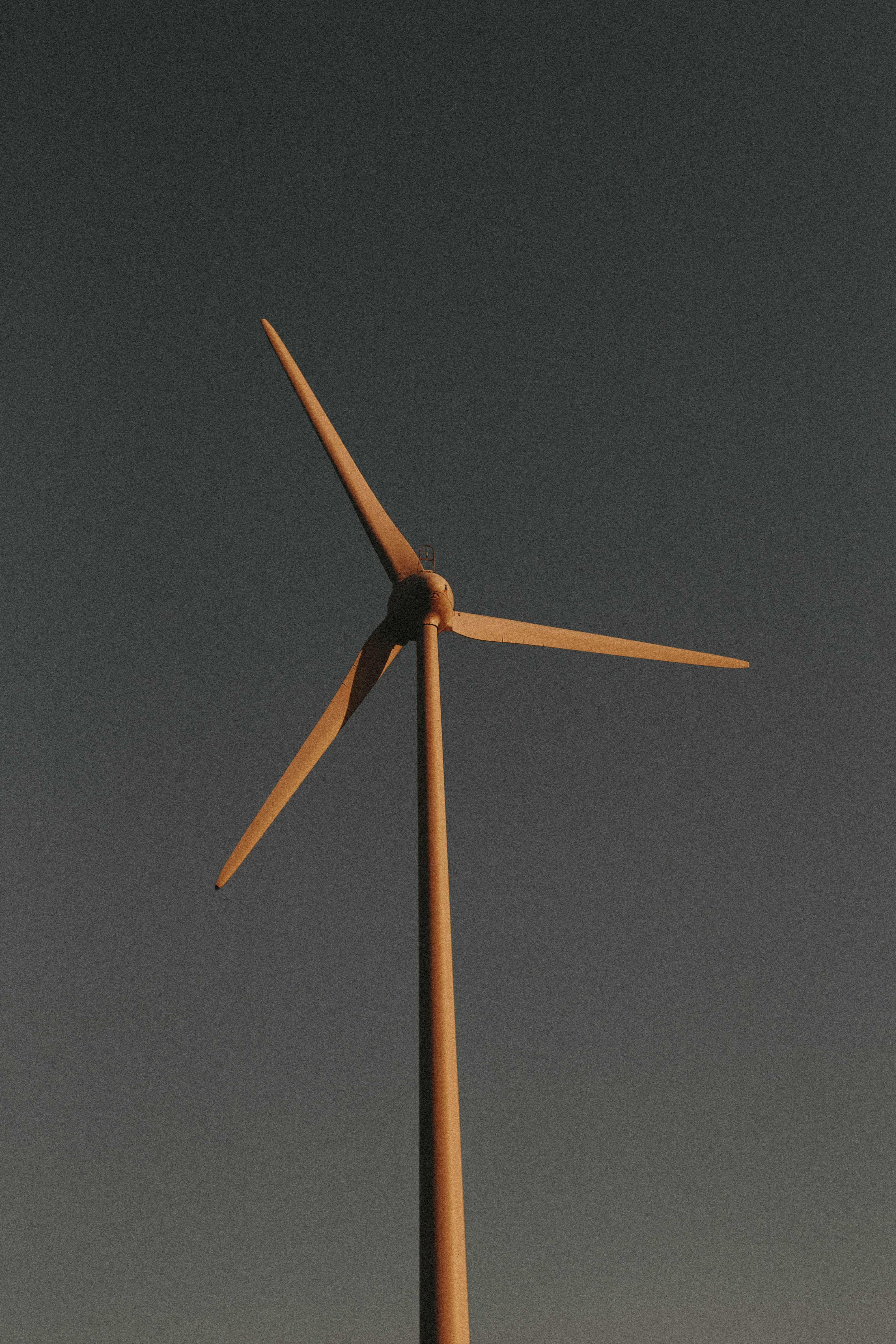 brown and white wind mill