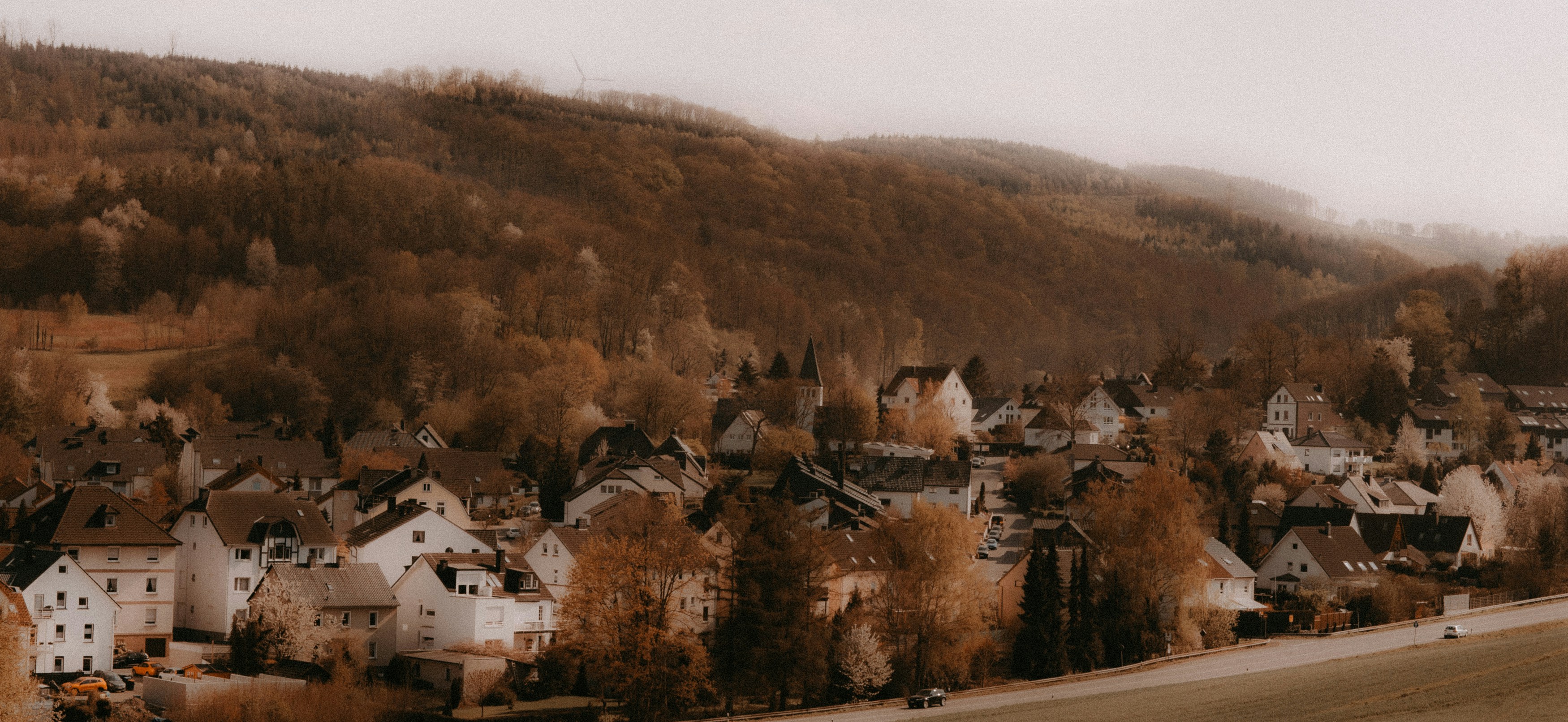 Photo by giorgiiremadze