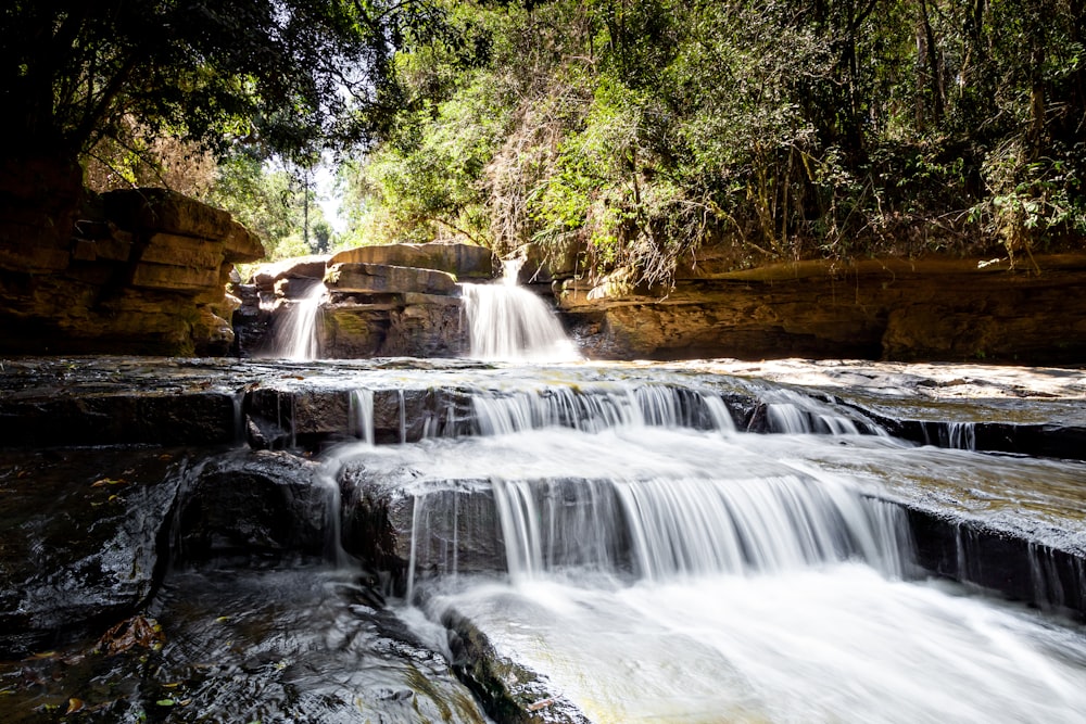 Wasserfälle im Wald tagsüber