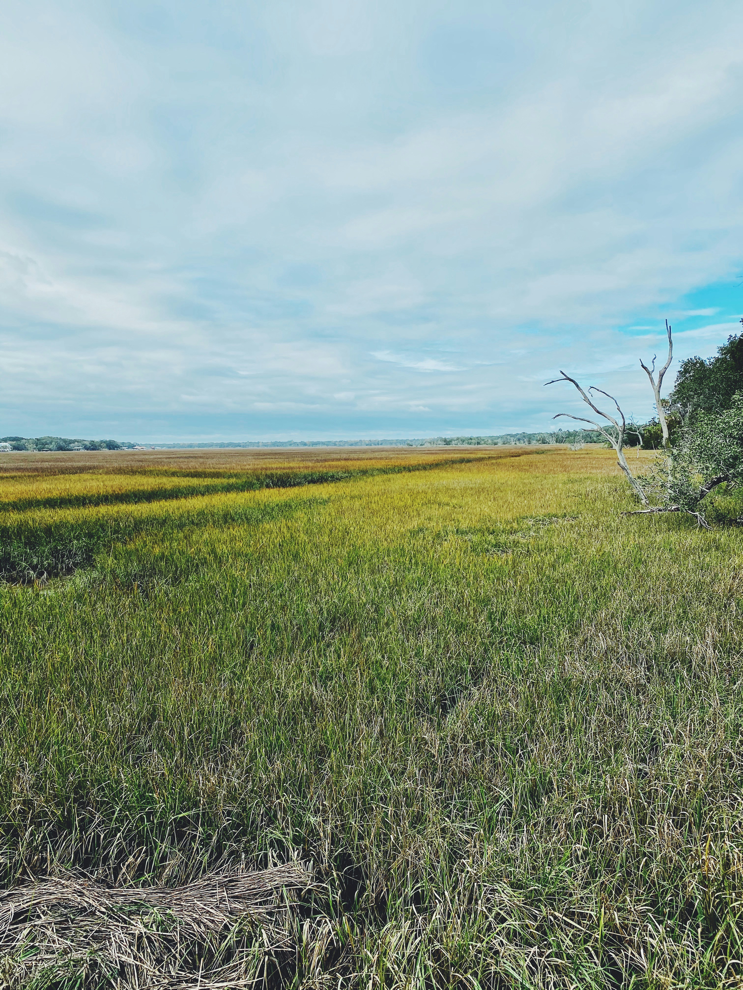 green grass field under blue sky during daytime