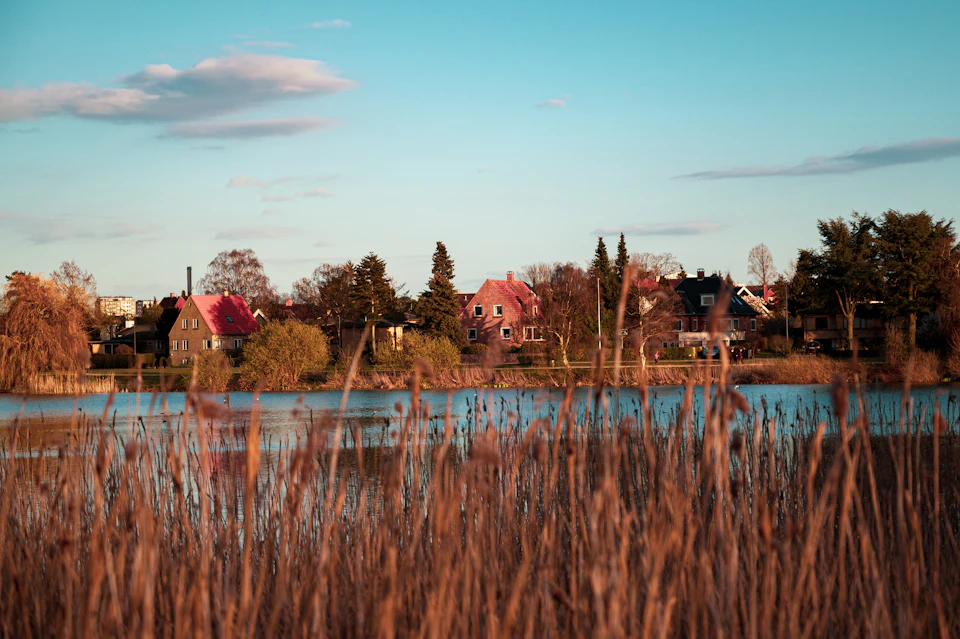 Serene rural landscape with calm lake and lush green trees on opposite shore depicted