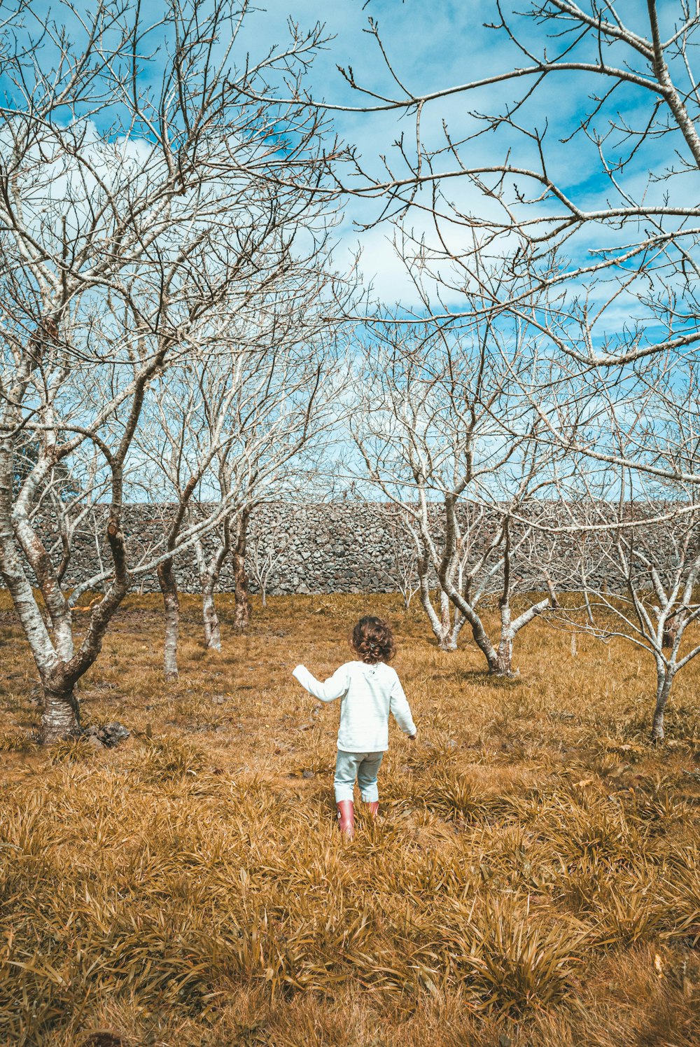 a little girl walking through a field of trees