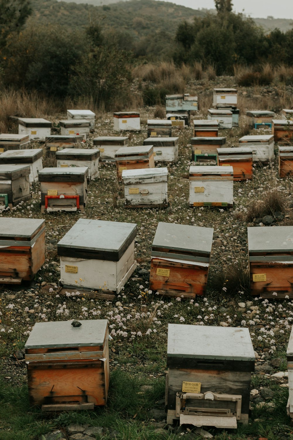 white and brown wooden boxes