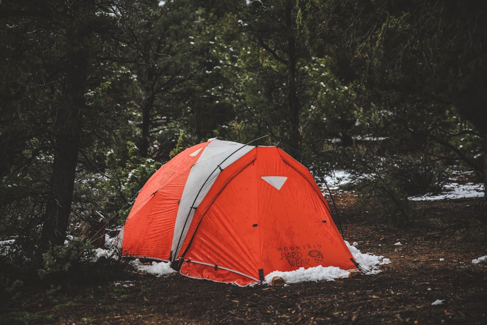 orange and white dome tent in forest during daytime