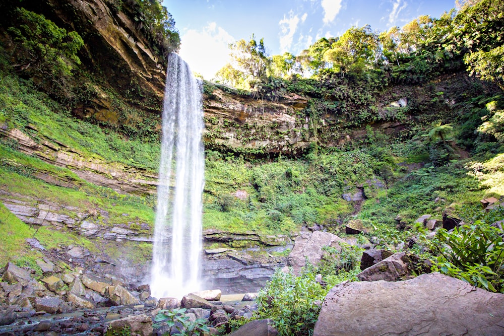 waterfalls in the middle of the forest during daytime