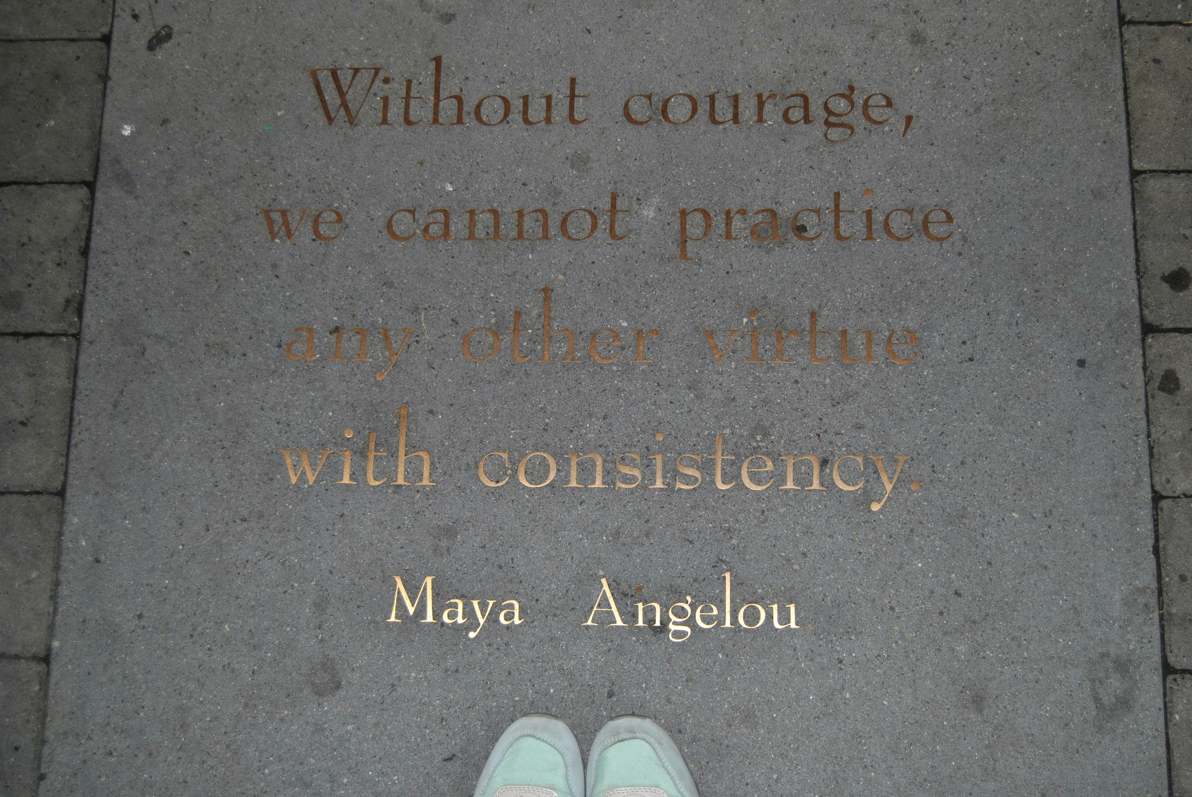 photo 1587081978347 44e5eec9bf57?ixlib=rb 4.0