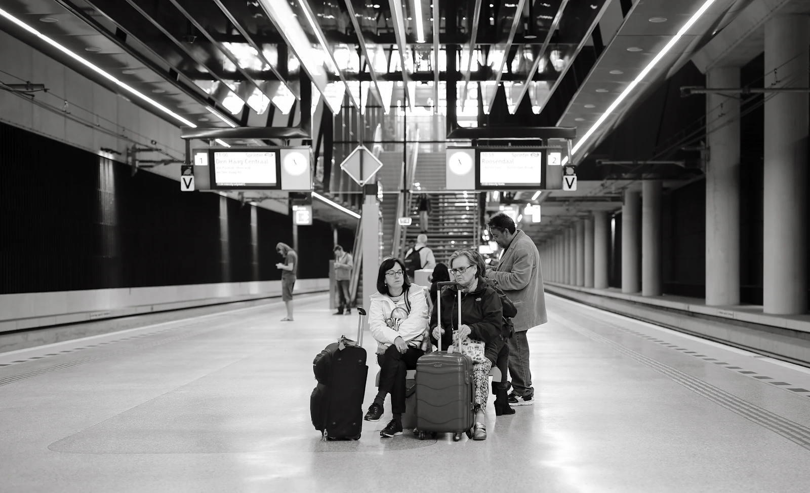 The Butterfly Trips family