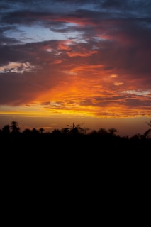 A vibrant sunset painting the sky in shades of orange and pink over a quiet Siargao beach lined with swaying palm trees.