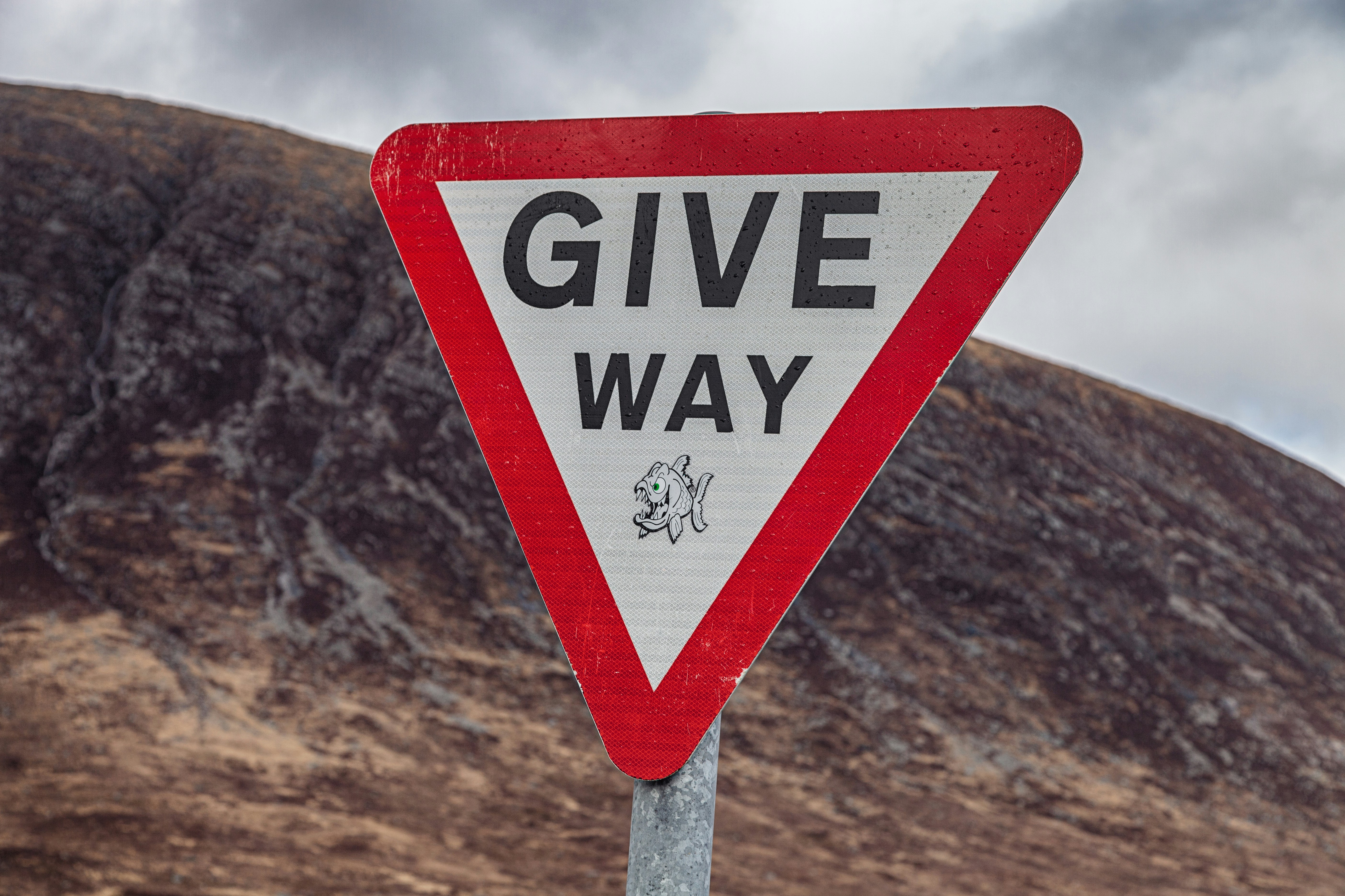 personalized attention