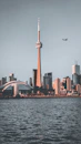 high rise buildings near body of water during daytime