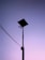 A silhouette of a tall street light with solar panels stands against a gradient sky transitioning from purple to pink. Electrical wires extend from the pole on the left side.