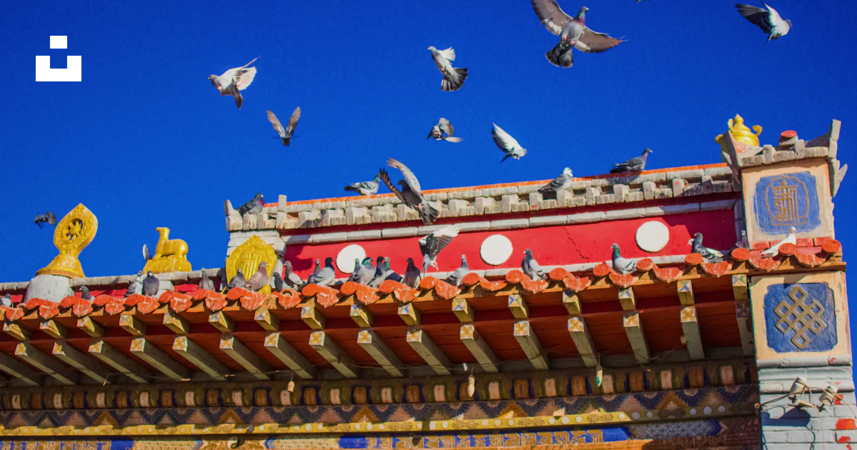 Yellow Temple Red and yellow temple under blue sky during daytime photo – Free ...