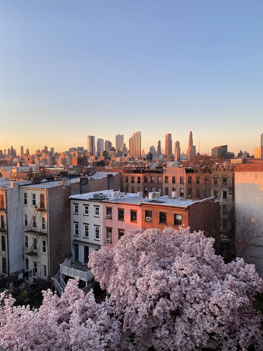 brown and gray concrete buildings during daytime in Brooklyn United States