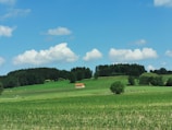 A serene countryside landscape featuring vast green fields stretching towards a forested area in the background. A solitary building with an orange-red roof is situated amidst the greenery. Fluffy white clouds dot the bright blue sky, adding to the idyllic setting.