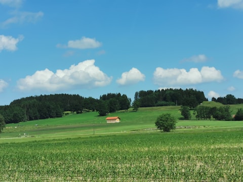 A serene countryside landscape featuring vast green fields stretching towards a forested area in the background. A solitary building with an orange-red roof is situated amidst the greenery. Fluffy white clouds dot the bright blue sky, adding to the idyllic setting.