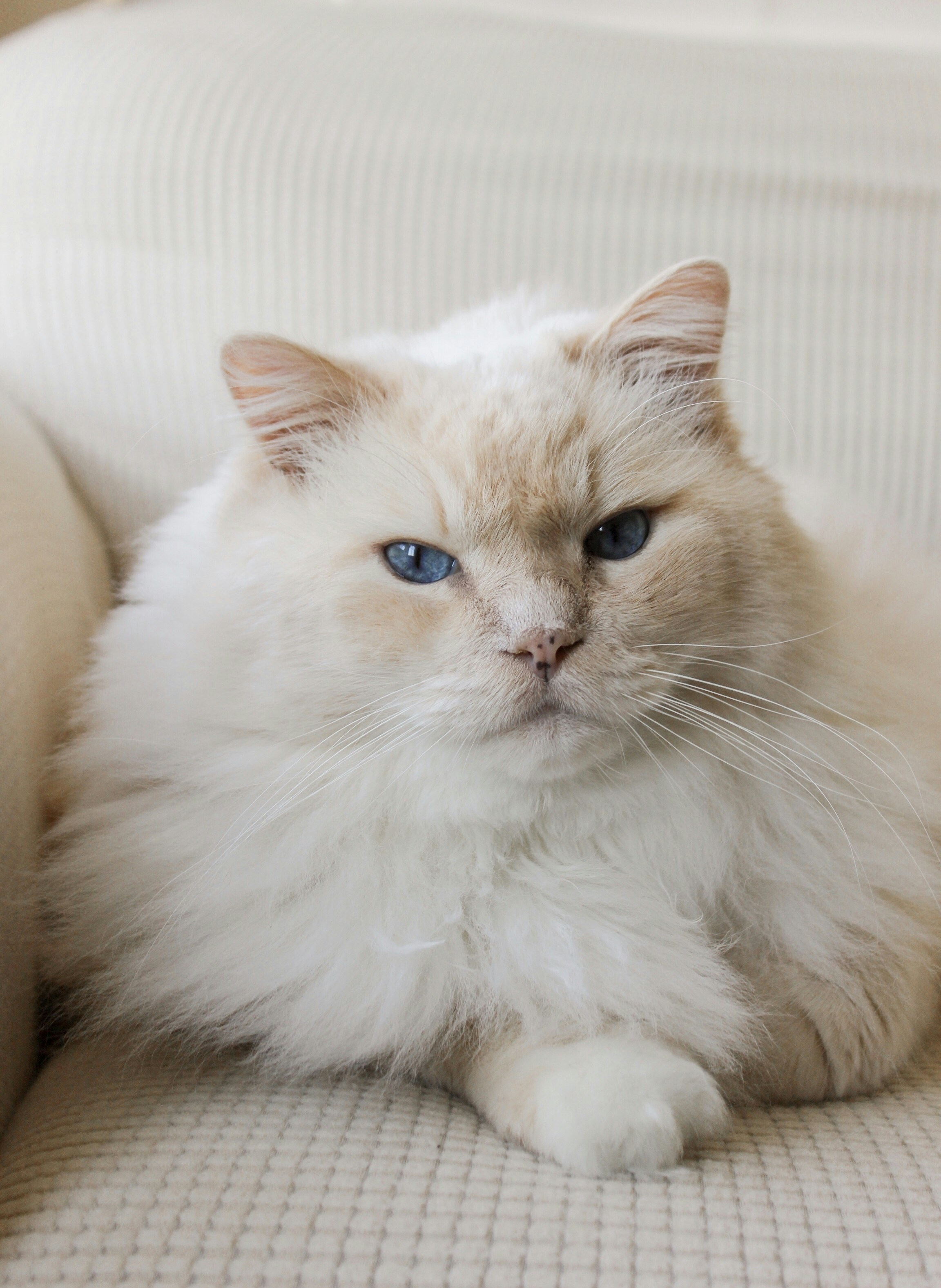 Photo by joyfulcaptures