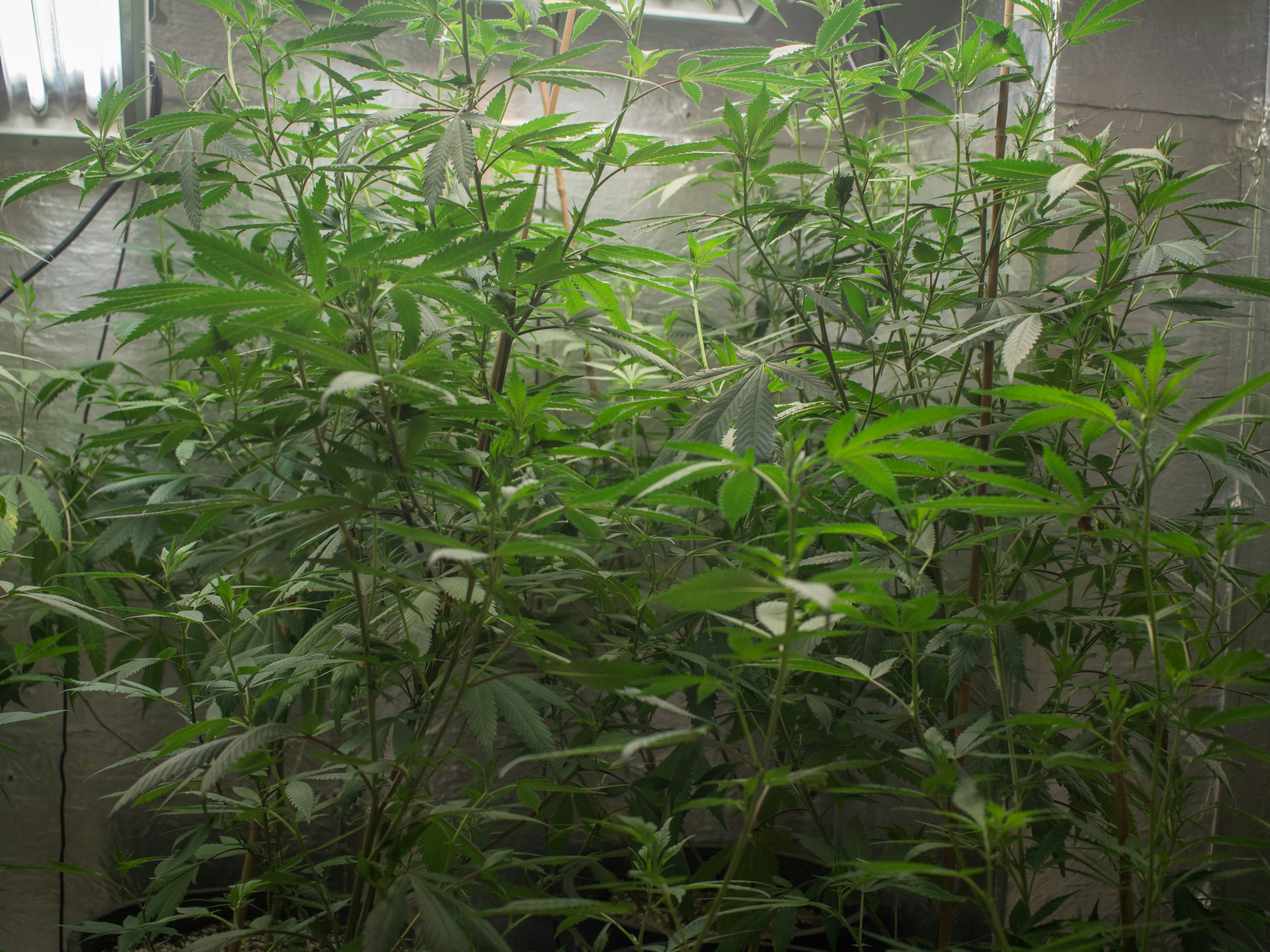 Photo by giobartlett